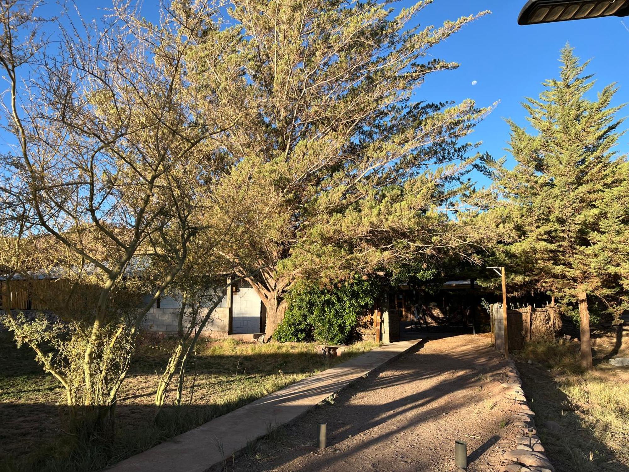 Hostal Piedrita De Rio San Pedro de Atacama Exterior foto